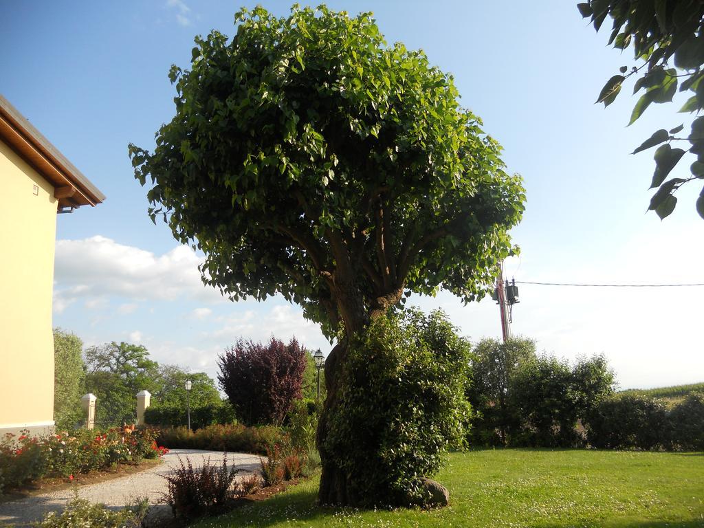 B&B Casa Pagliette Cavriana Dış mekan fotoğraf